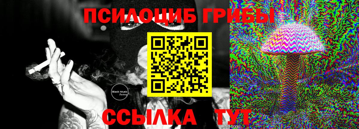 Псилоцибиновые грибы Cubensis  Вход с VPN  Усть-Илимск  Псилоцибиновые грибы MAGIC MUSHROOMS 